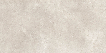 Керамогранит RB91 Coquille Champagne Matt-Pro Rett 60x120 Refin