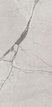 Керамогранит Regal-Silver Mat 60x120 Mega Tile