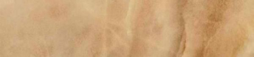 Керамогранит Rod. Bullnose Damore Honey 7.6x38.8 Ceracasa