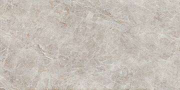 Керамогранит Root grey Mat 119.8x59.8 Tubadzin