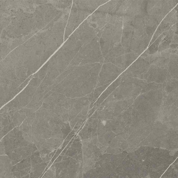 Керамогранит RS 1002 Grey Carving 60х60 LV Granito