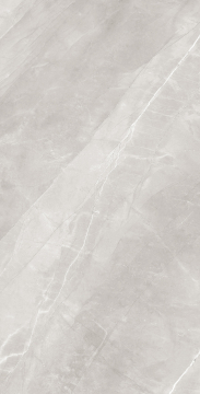 Керамогранит RT7013-A Armani Silver Matt Rustic 60x120 Arcadia Ceramica
