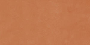 Керамогранит RTN6 ARANC12 RM 60x120 Imola Ceramica