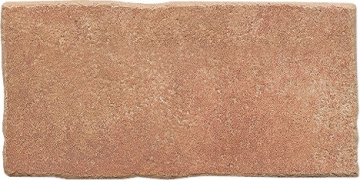 Керамогранит Santa Fe Castanho 16.5x33 Domino