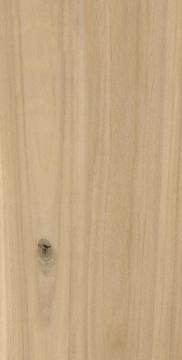 Керамогранит Select Wood Beige ректификат 30x60 ZERDE TILE