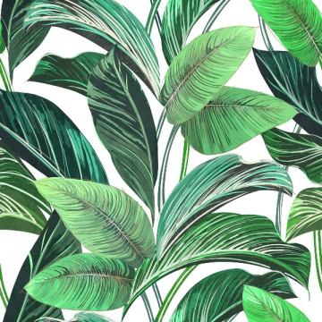 Керамогранит Showall White Leaf (set 2 pz) 120x120 Serenissima Cir
