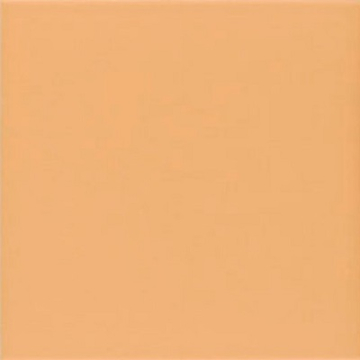 Керамогранит Technical Tangerine 20х20 Mainzu