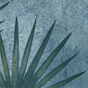 Керамогранит TR3333 Tropic 33х33 Serapool