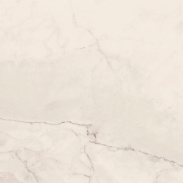 Керамогранит TREX 120W RM White 120x120 La Faenza