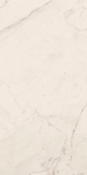 Керамогранит TREX 12W RM White 60x120 La Faenza