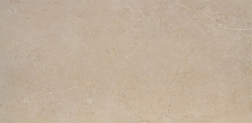 Керамогранит TRSX61292 Бежевый матовая 60x120 CSG