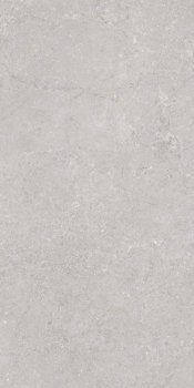 Керамогранит VARSOVIA GRIS RECT LAP+ 60x120 Emigres