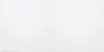 Керамогранит White Glossy 60x120 SotGres