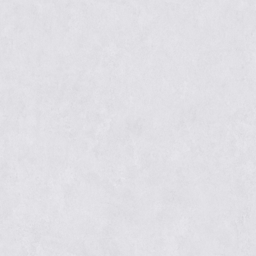 Керамогранит ZA-B60310 Пепел Матовый 600x600x9 Vizavi
