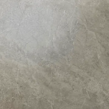 Керамогранит ZA-B60325 Butterfly MR 600x600x9 Vizavi