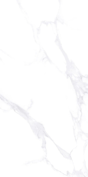 Керамогранит ZA-L12605 Lande PR 1200x600x9 Vizavi