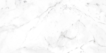 Клинкерная плитка 905541 Marble Carrara Blanco Liso 60x120 Gres de Aragon