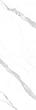 LAMF005778_IT Керамогранит I Naturali Bianco Statuario Venato 5 100x300 Laminam