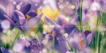 Laparet Панно Crocus P4D286 Плитка 80х40 Laparet