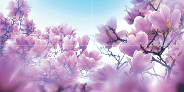 Laparet Панно Magnolia P4D297 Плитка 80х40 Laparet