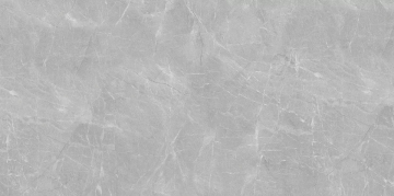 Lasselsberger 6493-0141 Керамогранит Сумерки серый 60x120 Lasselsberger