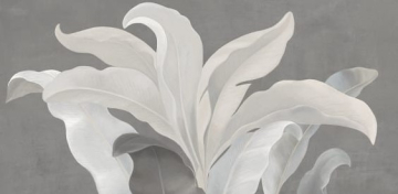 Lasselsberger 7360-0016 Керамогранит Декор Янссон 1 серый 30х60 Lasselsberger