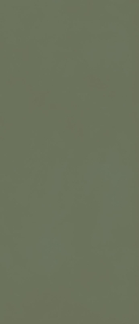 M7GY Керамогранит Grande Resin Look Verde Scuro Cold Satin 120х278 MARAZZI Italy