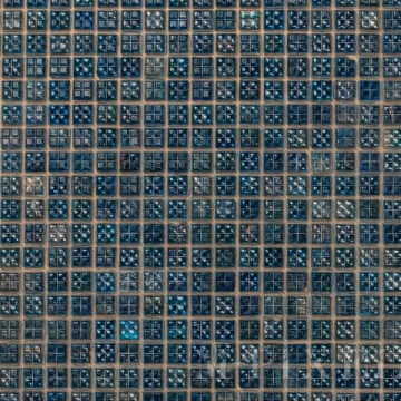 Мозаика GA73 Gold Star 1x1 31.8x31.8 ROSE MOSAIC