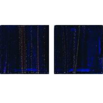 Мозаика GC 61 2x2 JNJ Mosaic