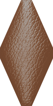 Мозаика TR-1022 керамика (100*200)77 + вставка NSmosaic