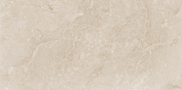 N20761 Керамогранит Etna Bone Carving Str 60x120 Neodom