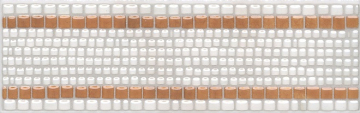 NT/A184/6309 Плитка Павловск орнамент 25х7.7 Kerama Marazzi