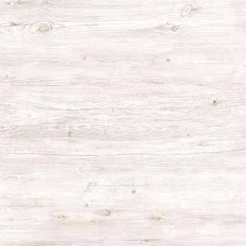Paintwood Beige GP6PAN11 Керамогранит 41*41 New Trend