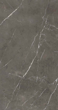 PF60006313 Керамогранит Stone Grey Lux R 60x120 ABK