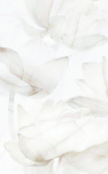 Плитка 125701 Bianco декор 25x40 PiezaROSA