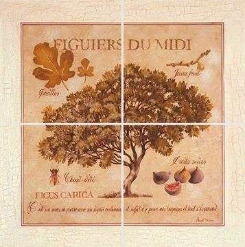 Плитка 25.8(425) Декор Herbarium 1 из 4х плиток 20x20 Factoria