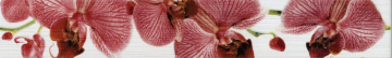 Плитка 267081 Fiori бордюр Орхидея 40х6 PiezaROSA