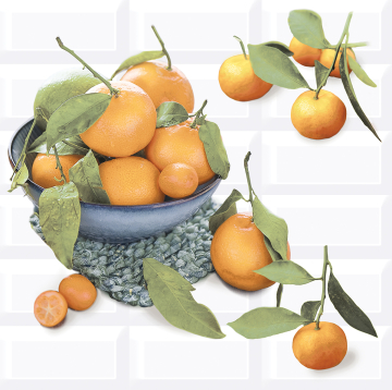 Плитка 583012024 Панно Vogue Citrus 2 40.2х40.5 Azori