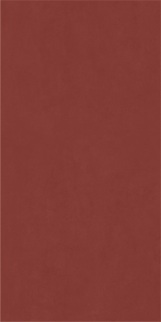 Плитка 600010002374 Серфейс Эксклюзив Рэд Нат Рет 80x160 Italon