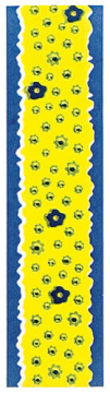Плитка A1748/1146 Бордюр Нэко 3*9,9 Kerama Marazzi