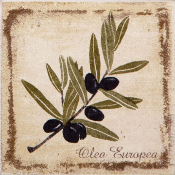 Плитка A1912/1221H Прованс декор 9,8х9,8 Kerama Marazzi
