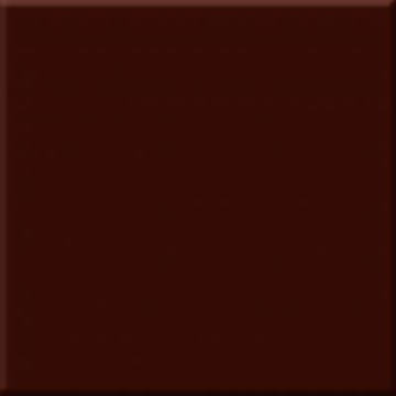 Плитка ABS0301 Marron Milano Brillo 10х10 Absolut Keramika