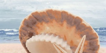 Плитка Аликанте декоративный массив Жемчужина на море (верх) 25х50 Нефрит Керамика