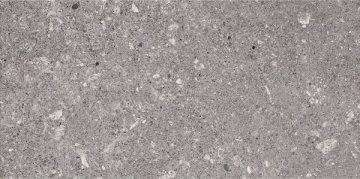 Плитка Aragorn Grys 30x60 Paradyz