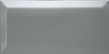Плитка Biselado Plata Brillo 10х20 Dar Ceramics