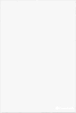 Плитка Blanco Brillo 120 23*33,5 VIVES