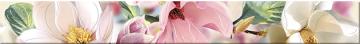 Плитка Border Boho Magnolia 63x7,5 Azori