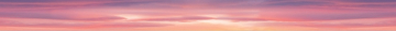 Плитка Бордюр Pink flamingo 50x4 Laparet