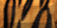 Плитка Бордюр рельефный Africa br1020D210-1 20х10 Laparet