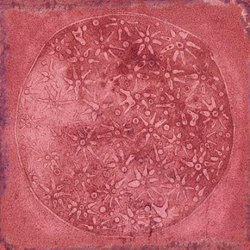 Плитка Carlo Granate-B 20x20 VIVES